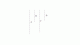 Pic2641